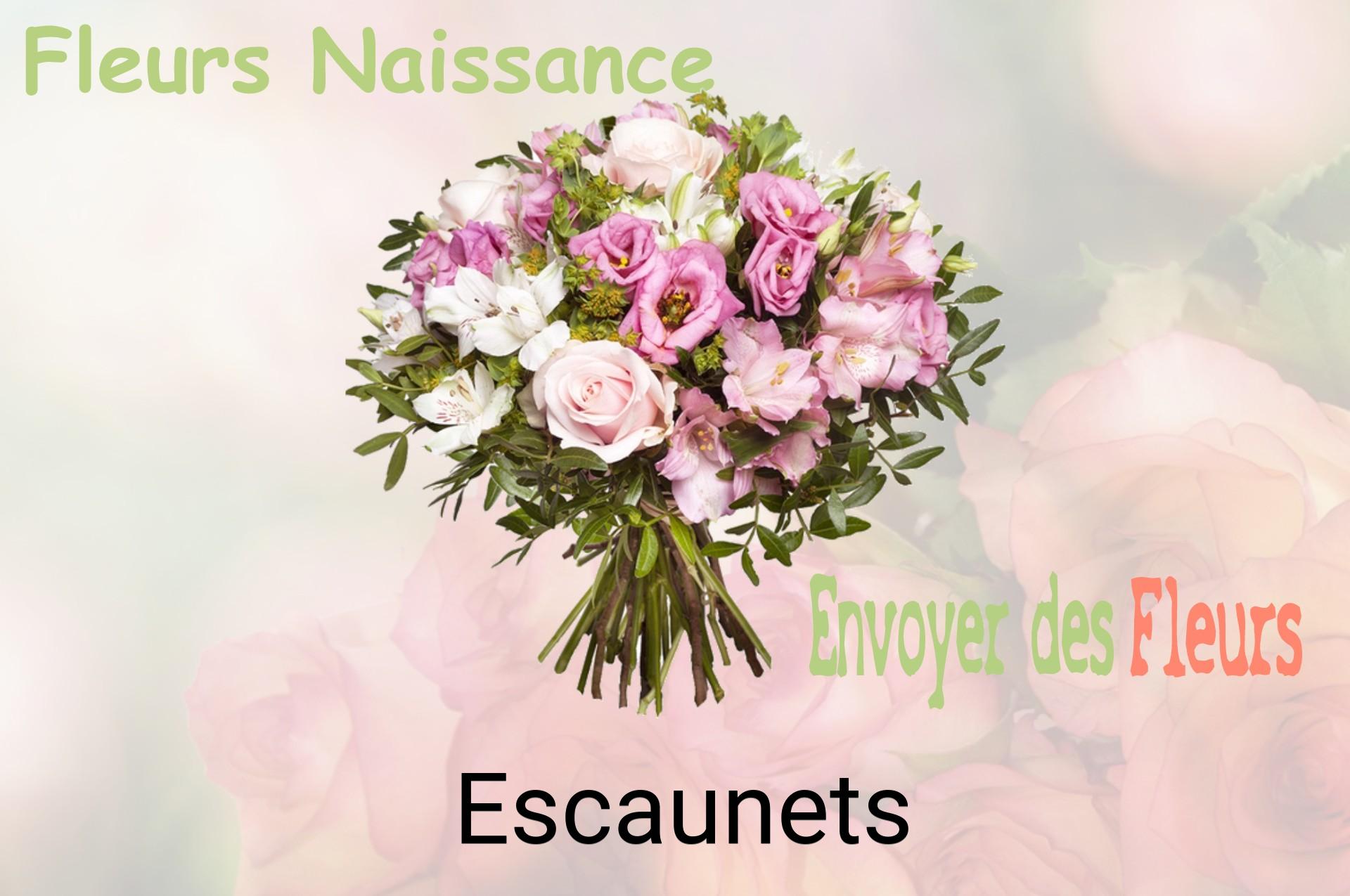 Bouquet de fleurs de naissance livré à Escaunets